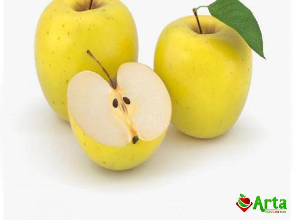 مهم ترین مشخصه سیب درجه یک