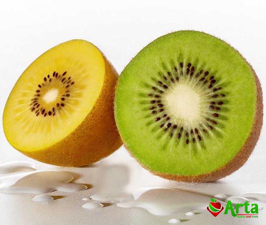 خرید بدون واسطه کیوی تازه در بازار گیلان
