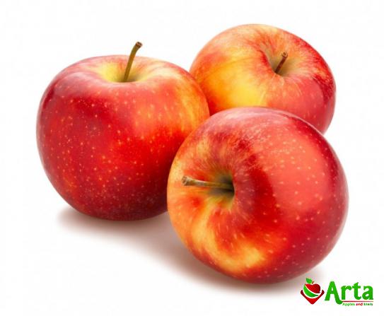 خرید ویژه سیب گلاب ارزان قیمت در شمال