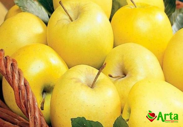 بررسی بهترین نوع سیب در بازار