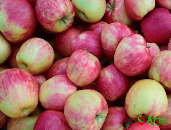 مراکز فروش سیب دو رنگ تابستانه در تهران