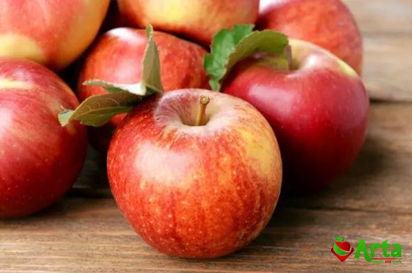 عامل اصلی تعیین قیمت سیب گلاب