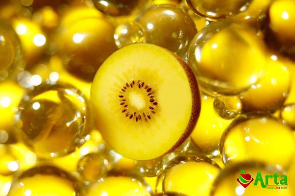فروش عمده کیوی طلایی در بازار گیلان