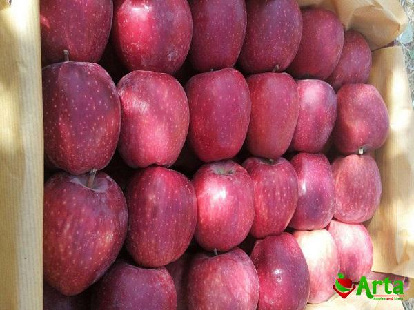خرید عمده سیب درختی جنگلی با قیمت مناسب