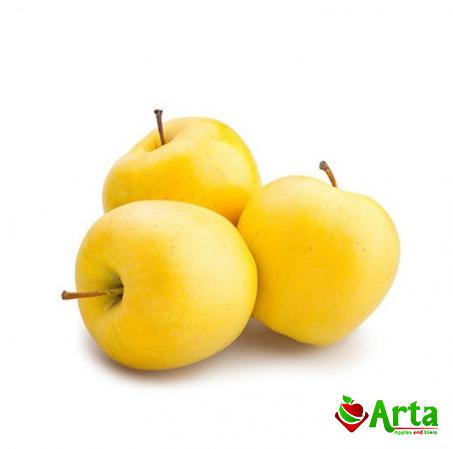 قیمت عمده سیب زرد فرانسوی در سال ۱۴۰۰