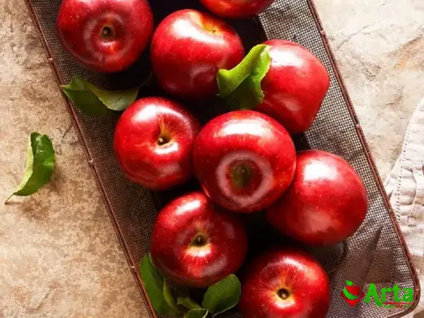 شرکت صادرات سیب ژاپنی