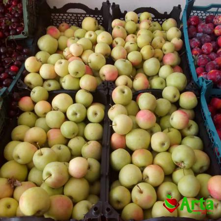 چند نکته درباره کیفیت سیب گلاب
