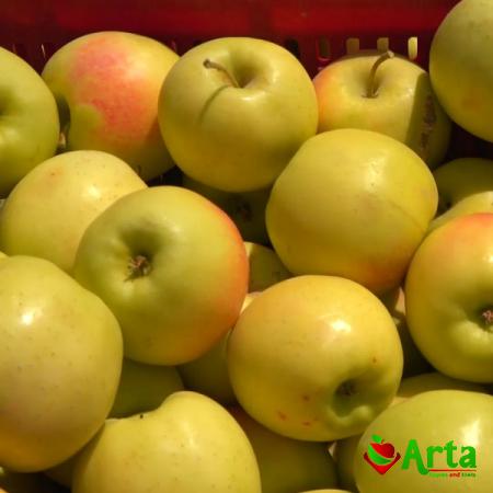 در مورد سیب درختی بیشتر بدانید