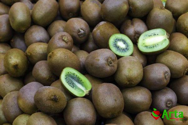انواع کیوی تازه در بازار