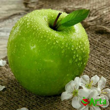 مرکز فروش سیب لبنانی