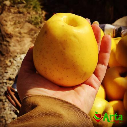 مهمترین اطلاعات درباره خرید سیب