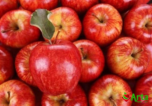 لیست آخرین قیمت سیب درختی مهاباد در بازار