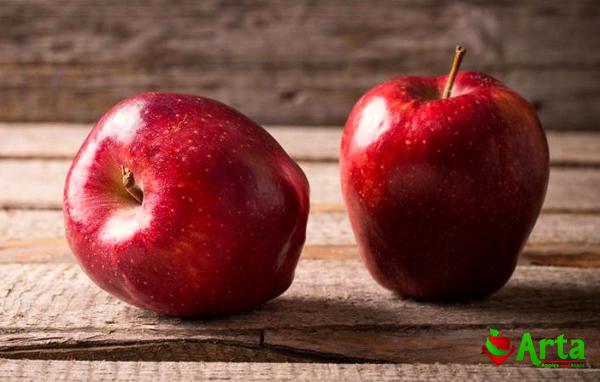 پخش مستقیم سیب درختی نهاوند صادراتی