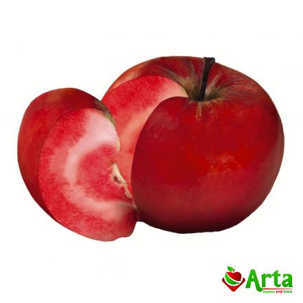 سفارش عمده سیب درختی تو سرخ صادراتی