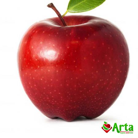 همه چیز درباره بهترین سیب درختی ممتاز