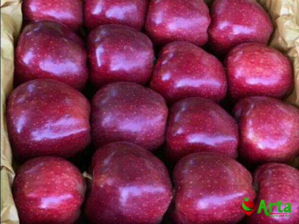 قیمت باورنکردنی سیب لبنانی در بسته بندی یک کیلویی