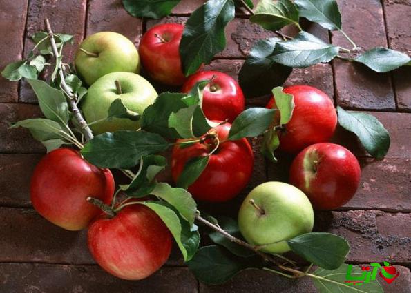 ویژگی بهترین نوع سیب تازه