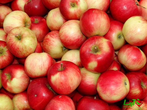 بازار فروش سیب دورنگ تابستانی به صورت عمده