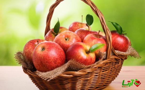 صادرات انواع سیب درختی به صورت عمده در سمیرم