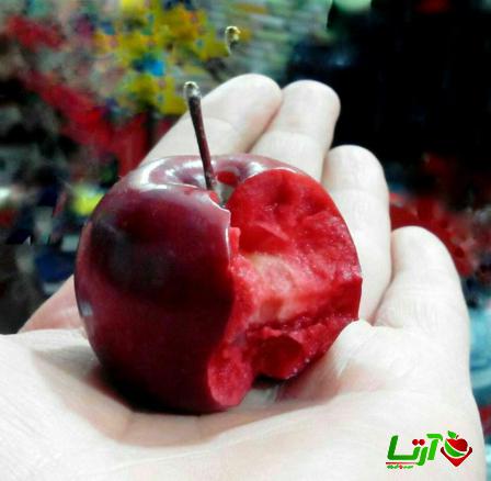 تولیدکنندگان سیب درختی تو قرمز در شمال کشور