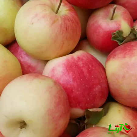 مرکز سفارش سیب گلاب در اصفهان