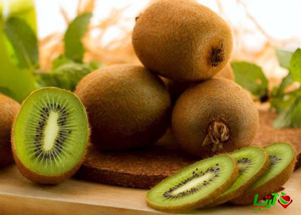 سفارش خرید کیوی استوایی