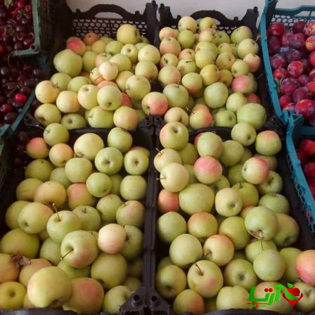 راهنمای انتخاب بهترین سیب ایرانی