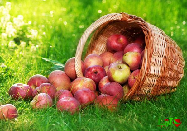 آشنایی با انواع سیب تازه ایرانی