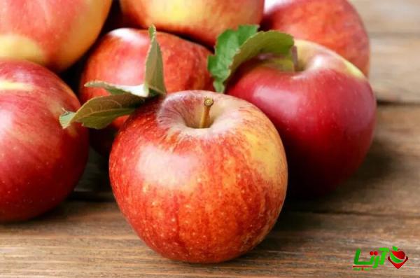 تامین عمده سیب درختی صادراتی