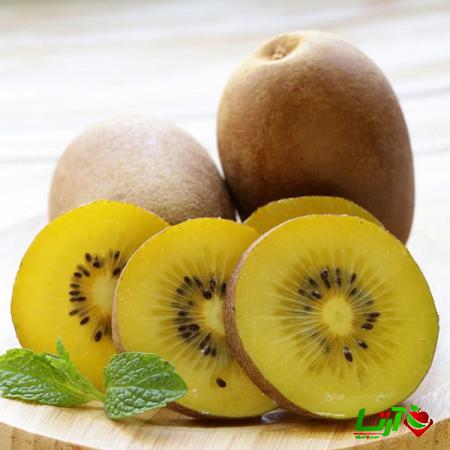 مرکز عرضه کیوی طلایی در تهران