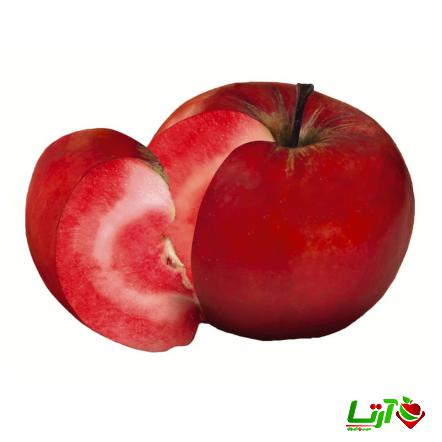 تولیدکنندگان سیب توسرخ درجه یک در شاهرود