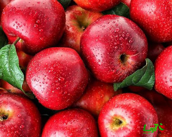 نحوه فروش آنلاین بهترین سیب ایران