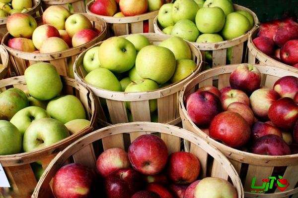 مرکز فروش سیب ترش کوچک درجه یک