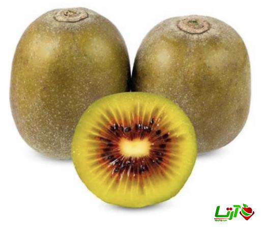 مرکز خرید کیوی قرمز چالوس درجه یک