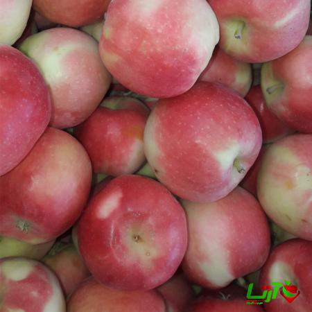 مرجع خرید سیب گلاب شیرین با بهترین کیفیت