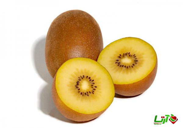خرید مستقیم کیوی طلایی پیوندی از تولید کننده