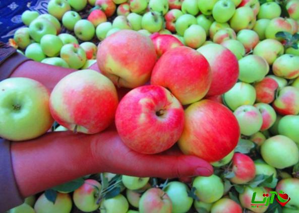 میزان عرضه سیب آبگیری طی ماه های گذشته