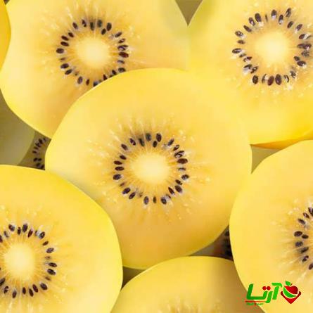 فروش کیوی زرد فله ای در بازار با قیمت مناسب