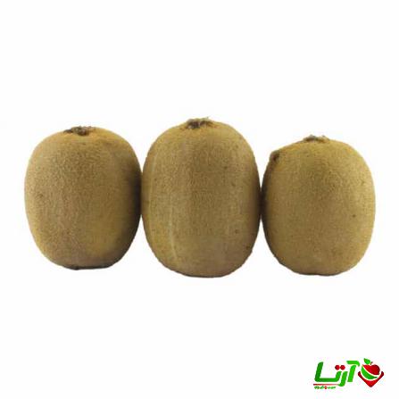 هر آنچه باید از صادرات کیوی به عراق بدانید