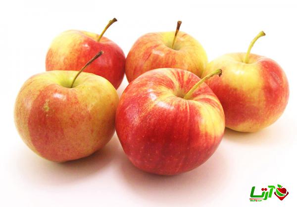 فاکتورهای مهم هنگام خرید سیب گلاب درجه یک