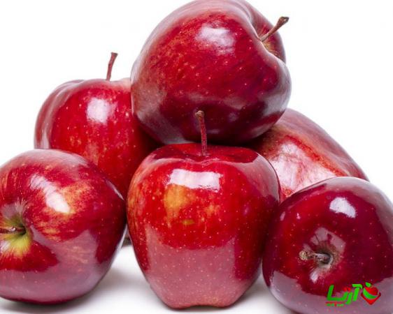 گام به گام صادرات سیب مراغه