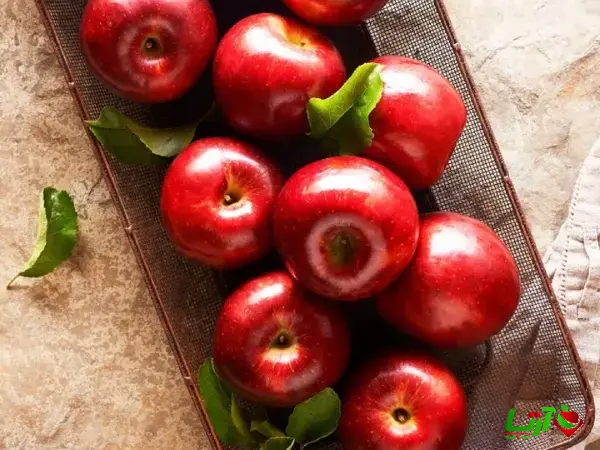 هنگام خرید سیب به چه نکاتی باید توجه کرد