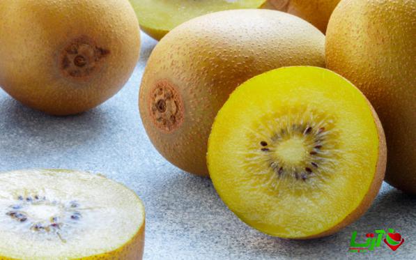 توصیه هایی برای خرید بهترین کیوی طلایی