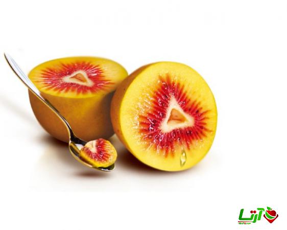 مراحل صادرات کیوی قرمز به سایر کشورها