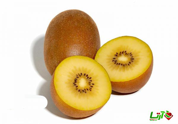 بررسی مشکلات صادرات کیوی از ایران