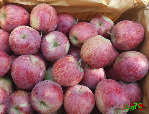 فروش سیب درختی با مناسب ترین قیمت در آذربایجان غربی
