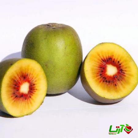 اطلاعاتی درباره ی انواع کیوی و ویژگی های آن