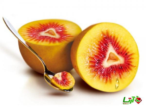 بررسی تاثیر نرخ ارز بر قیمت کیوی