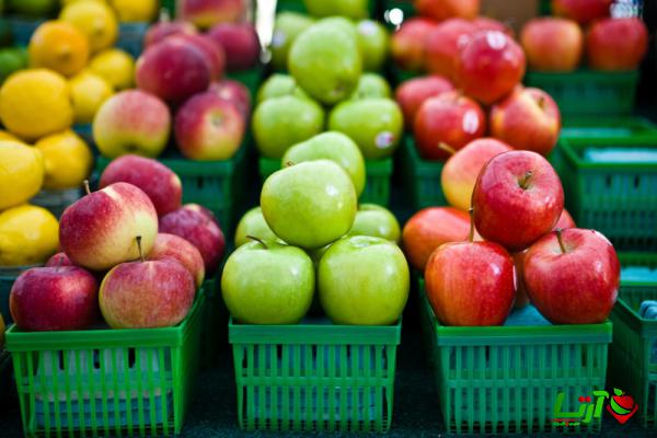بهره گیری از تمام ظرفیت ها برای صادرات سیب