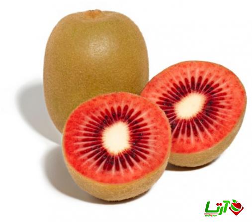 بهترین نوع بسته بندی جهت صادرات کیوی